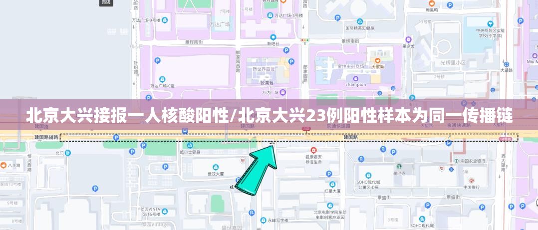 北京大兴接报一人核酸阳性/北京大兴23例阳性样本为同一传播链