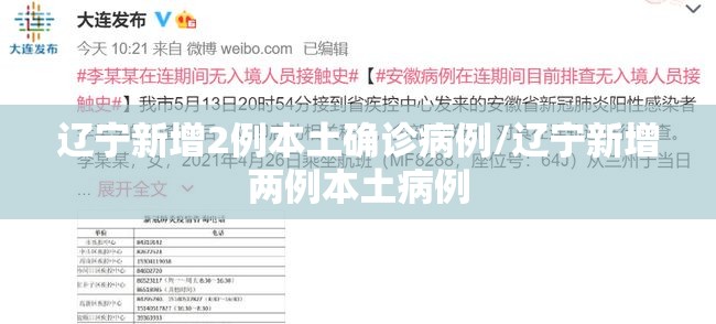 辽宁新增2例本土确诊病例/辽宁新增两例本土病例 辽宁新增2例本土确诊病例/辽宁新增两例本土病例