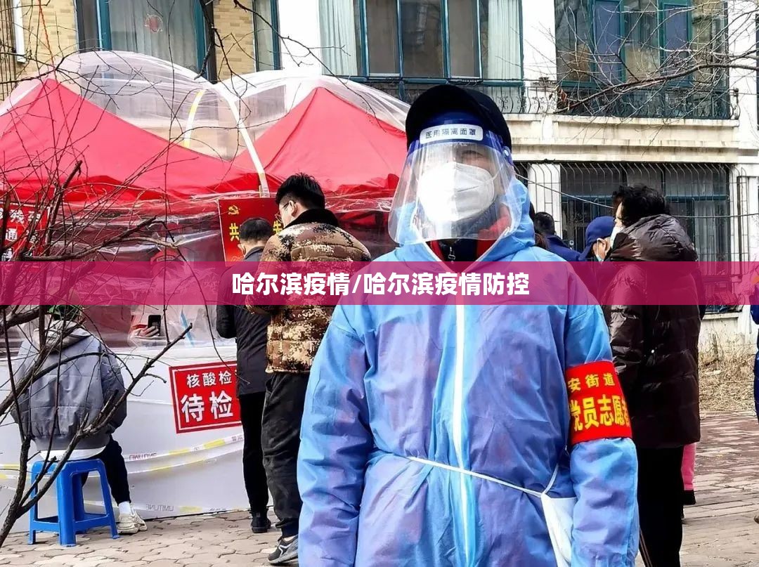 哈尔滨疫情/哈尔滨疫情防控 哈尔滨疫情/哈尔滨疫情防控