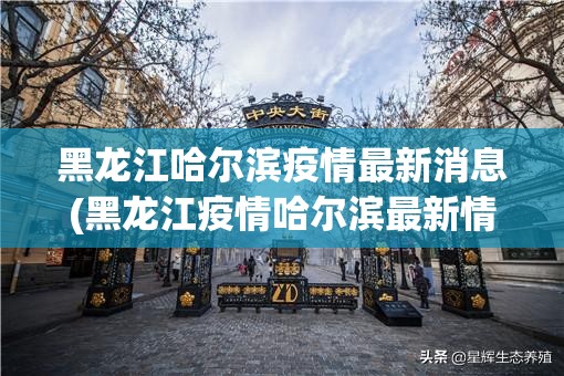 黑龙江哈尔滨疫情最新消息(黑龙江疫情哈尔滨最新情况 最新消息) 黑龙江哈尔滨疫情最新消息(黑龙江疫情哈尔滨最新情况 最新消息)