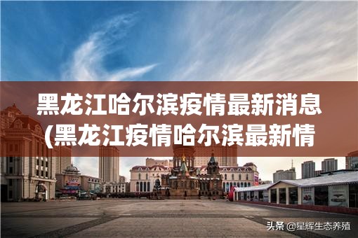 黑龙江哈尔滨疫情最新消息(黑龙江疫情哈尔滨最新情况 最新消息) 黑龙江哈尔滨疫情最新消息(黑龙江疫情哈尔滨最新情况 最新消息)