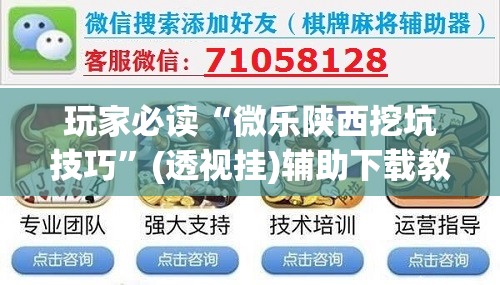 玩家必读“微乐陕西挖坑技巧”(透视挂)辅助下载教程