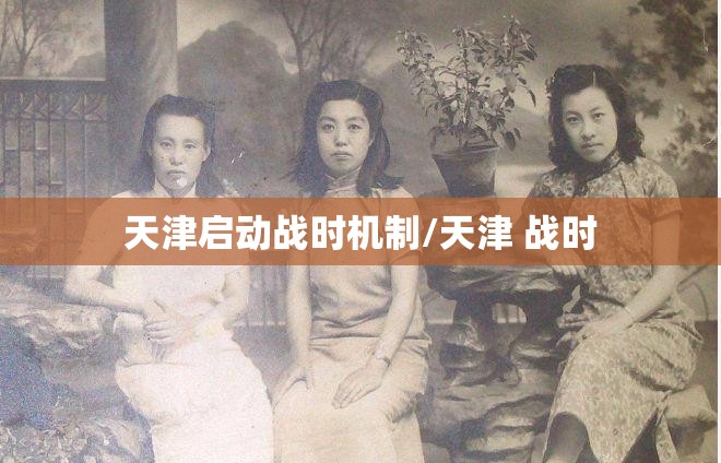 天津启动战时机制/天津 战时