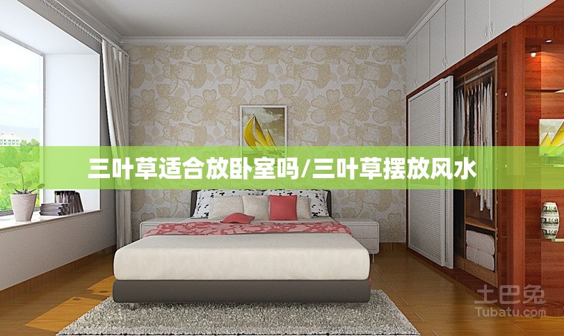三叶草适合放卧室吗/三叶草摆放风水 三叶草适合放卧室吗/三叶草摆放风水