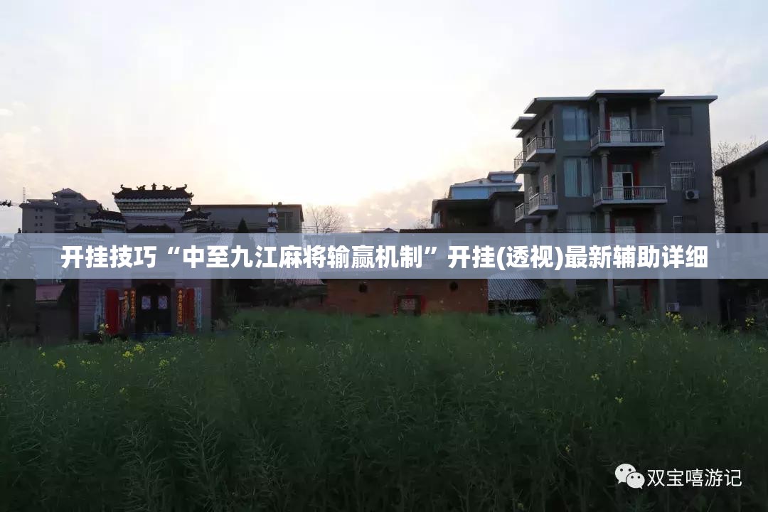开挂技巧“中至九江麻将输赢机制”开挂(透视)最新辅助详细