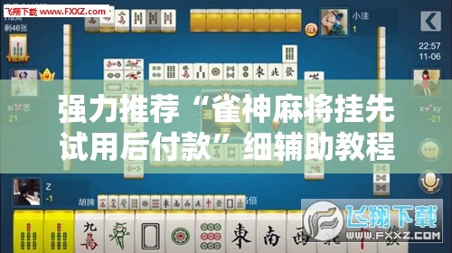 强力推荐“雀神麻将挂先试用后付款”细辅助教程分享