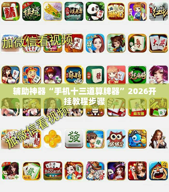 辅助神器“手机十三道算牌器”2026开挂教程步骤