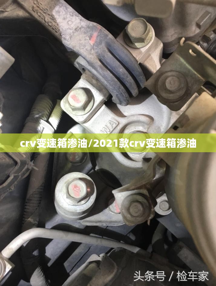 crv变速箱渗油/2021款crv变速箱渗油 crv变速箱渗油/2021款crv变速箱渗油