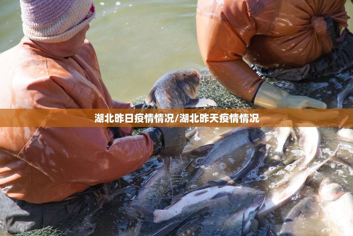 湖北昨日疫情情况/湖北昨天疫情情况