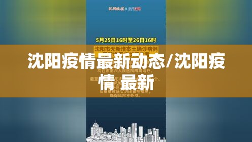沈阳疫情最新动态/沈阳疫情 最新 沈阳疫情最新动态/沈阳疫情 最新
