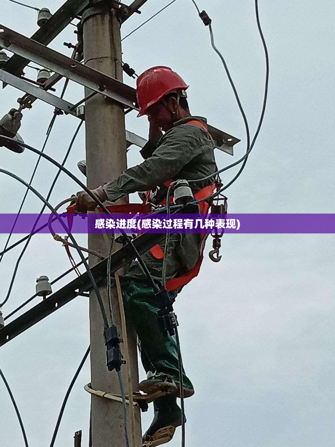 感染进度(感染过程有几种表现) 感染进度(感染过程有几种表现)