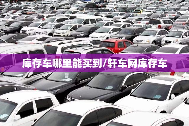 库存车哪里能买到/轩车网库存车