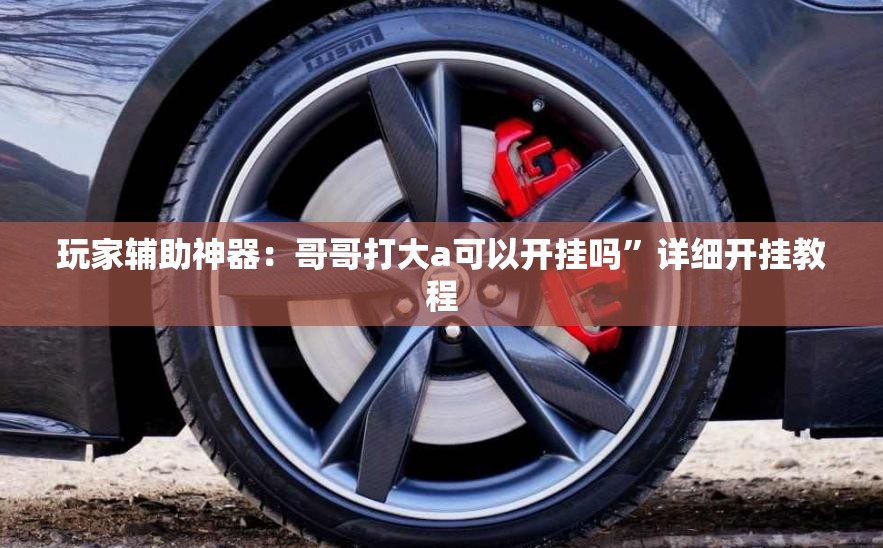 玩家辅助神器：哥哥打大a可以开挂吗”详细开挂教程