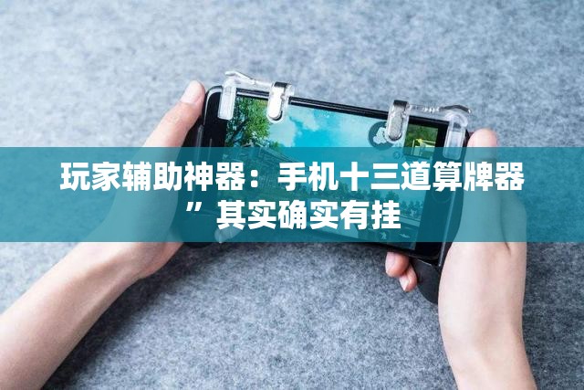 玩家辅助神器：手机十三道算牌器”其实确实有挂