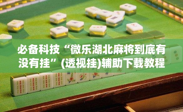 必备科技“微乐湖北麻将到底有没有挂	”(透视挂)辅助下载教程