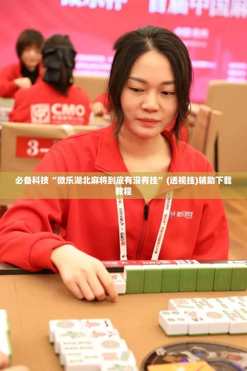 必备科技“微乐湖北麻将到底有没有挂”(透视挂)辅助下载教程