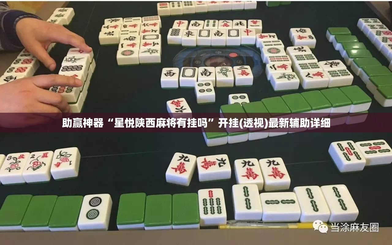 助赢神器“星悦陕西麻将有挂吗”开挂(透视)最新辅助详细