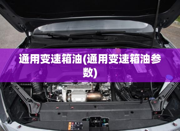 通用变速箱油(通用变速箱油参数) 通用变速箱油(通用变速箱油参数)