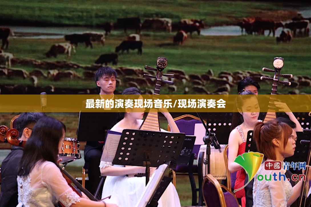 最新的演奏现场音乐/现场演奏会