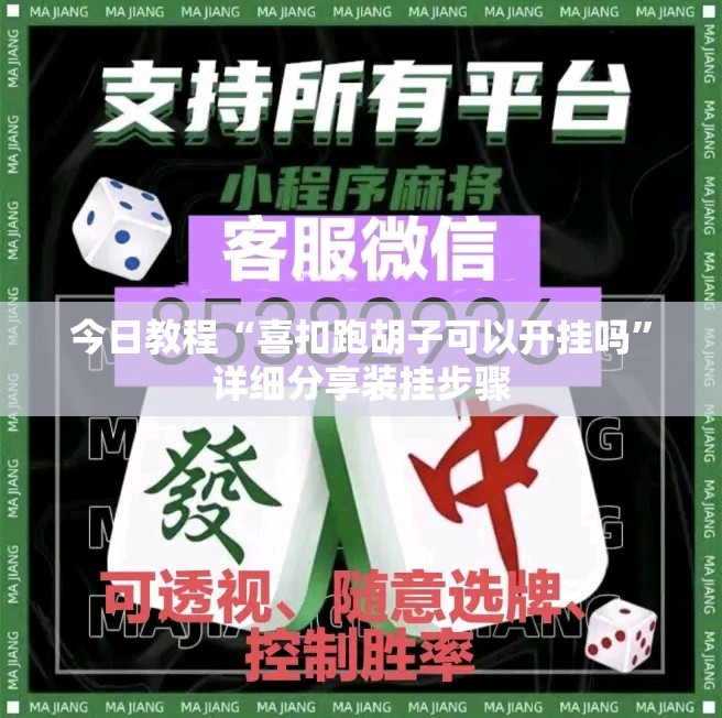今日教程“喜扣跑胡子可以开挂吗	”详细分享装挂步骤