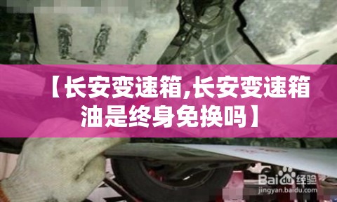 【长安变速箱,长安变速箱油是终身免换吗】