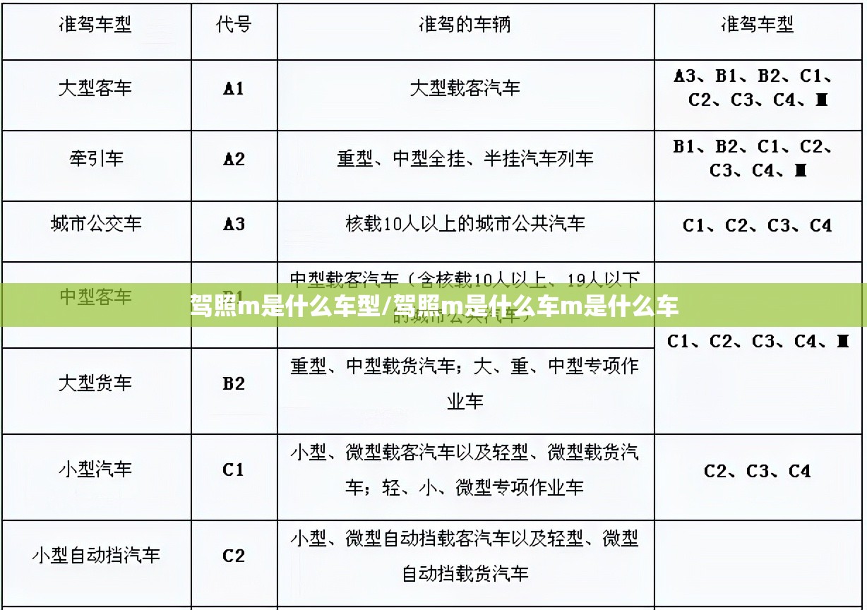 驾照m是什么车型/驾照m是什么车m是什么车 驾照m是什么车型/驾照m是什么车m是什么车