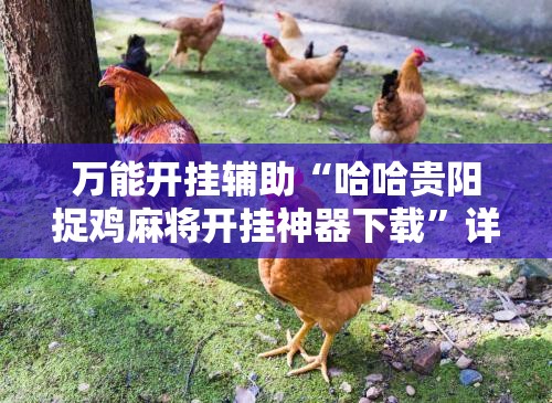 万能开挂辅助“哈哈贵阳捉鸡麻将开挂神器下载	”详细分享装挂步骤