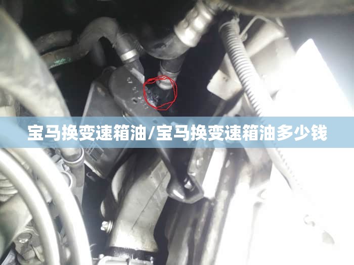 宝马换变速箱油/宝马换变速箱油多少钱 宝马换变速箱油/宝马换变速箱油多少钱