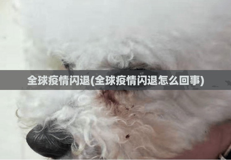 全球疫情闪退(全球疫情闪退怎么回事)