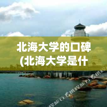 北海大学的口碑(北海大学是什么样的地方)