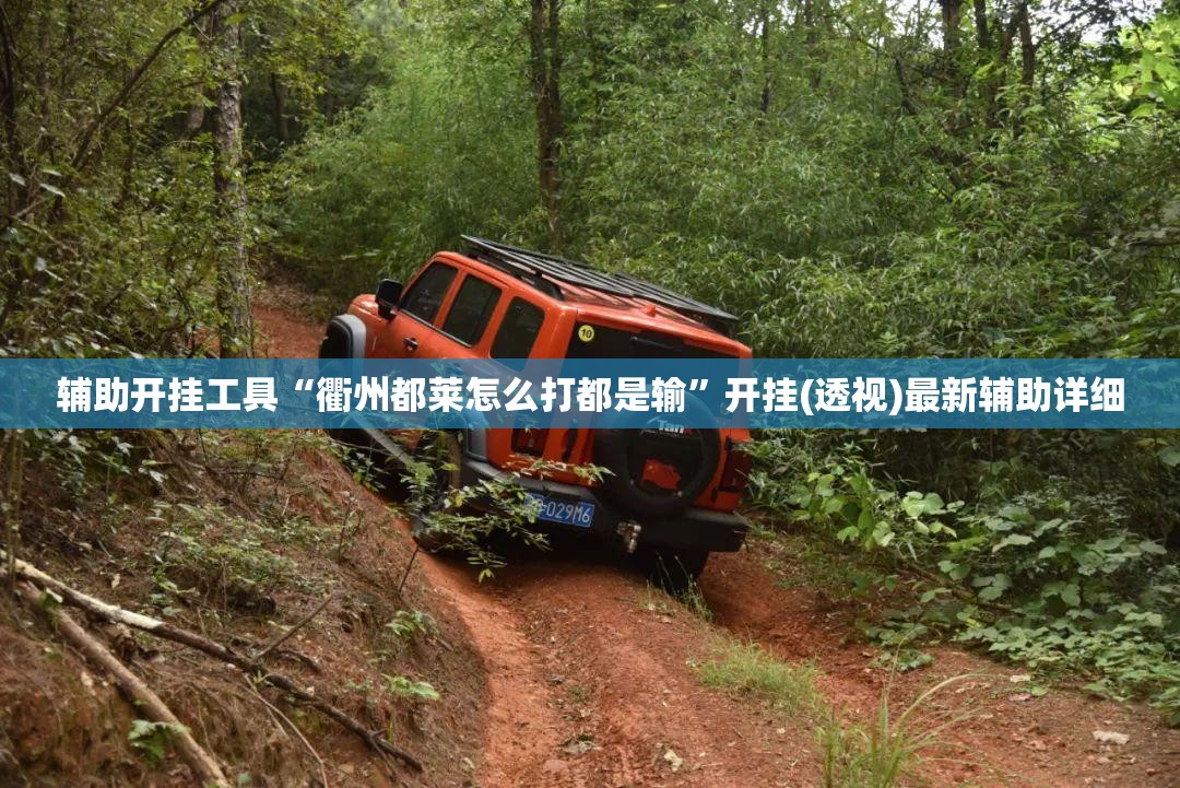 辅助开挂工具“衢州都莱怎么打都是输”开挂(透视)最新辅助详细