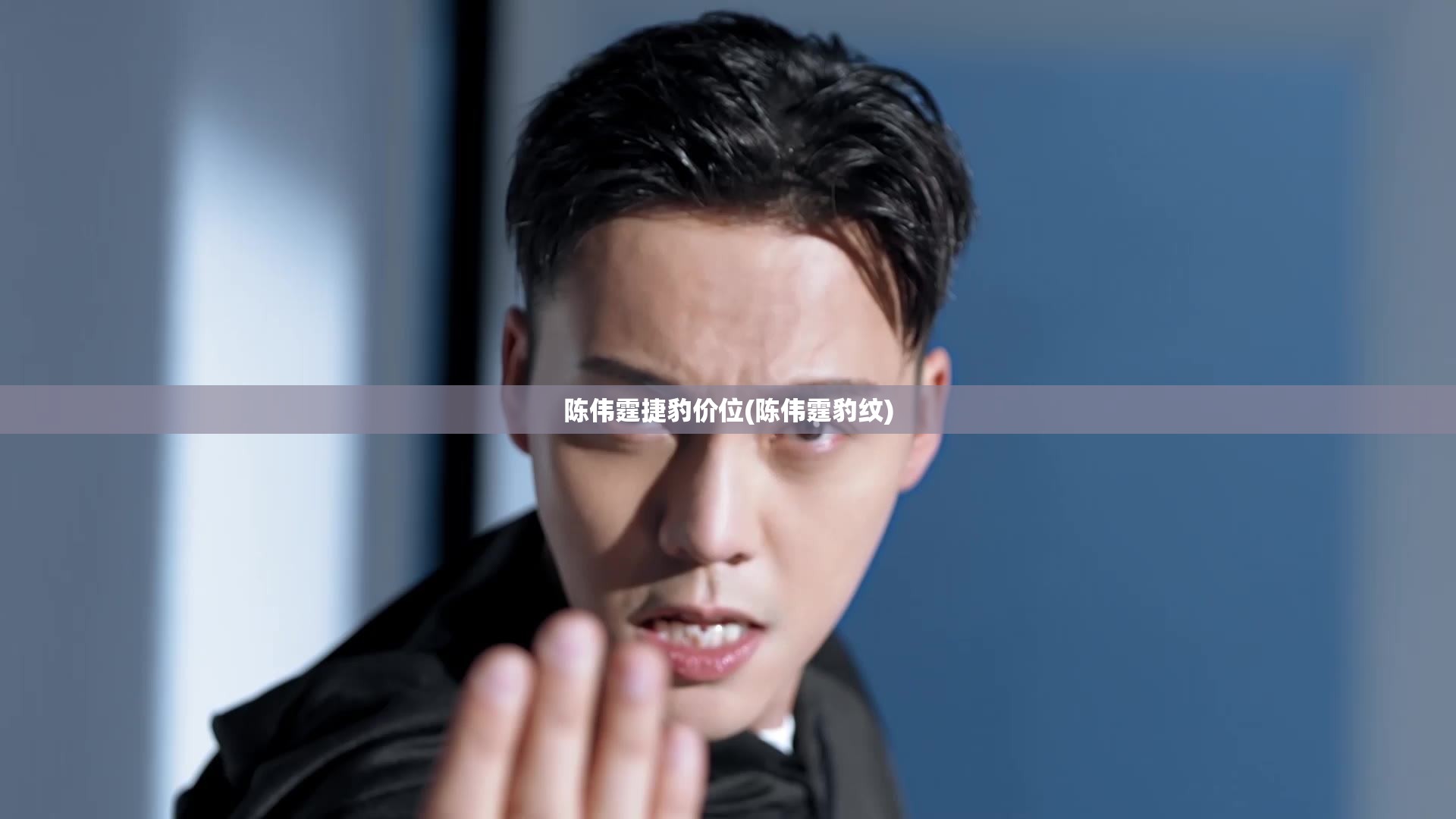 陈伟霆捷豹价位(陈伟霆豹纹) 陈伟霆捷豹价位(陈伟霆豹纹)