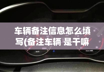 车辆备注信息怎么填写(备注车辆 是干嘛用的)