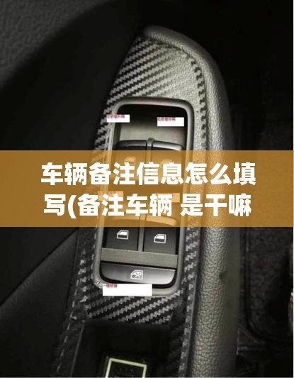 车辆备注信息怎么填写(备注车辆 是干嘛用的)