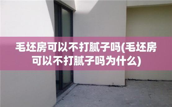 毛坯房可以不打腻子吗(毛坯房可以不打腻子吗为什么) 毛坯房可以不打腻子吗(毛坯房可以不打腻子吗为什么)