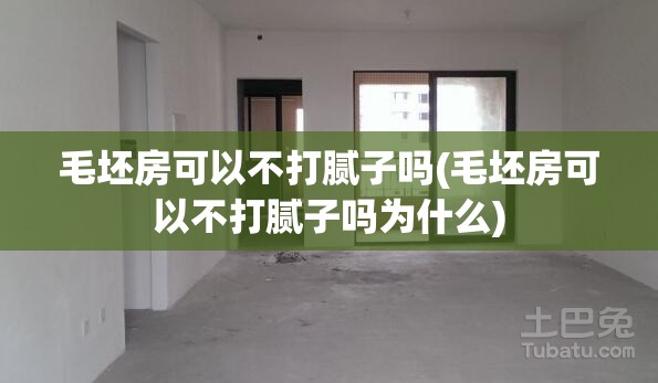 毛坯房可以不打腻子吗(毛坯房可以不打腻子吗为什么) 毛坯房可以不打腻子吗(毛坯房可以不打腻子吗为什么)
