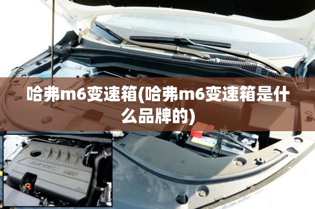 哈弗m6变速箱(哈弗m6变速箱是什么品牌的) 哈弗m6变速箱(哈弗m6变速箱是什么品牌的)