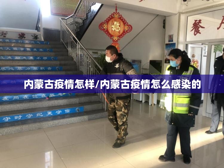 内蒙古疫情怎样/内蒙古疫情怎么感染的 内蒙古疫情怎样/内蒙古疫情怎么感染的
