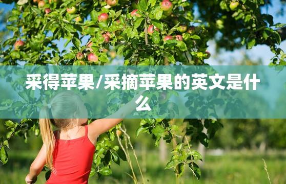 采得苹果/采摘苹果的英文是什么 采得苹果/采摘苹果的英文是什么