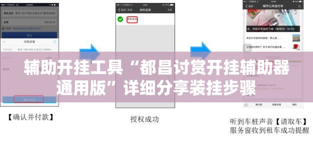 辅助开挂工具“都昌讨赏开挂辅助器通用版”详细分享装挂步骤