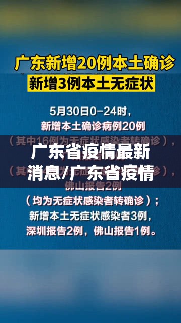 广东省疫情最新消息/广东省疫情最新情况通报 广东省疫情最新消息/广东省疫情最新情况通报