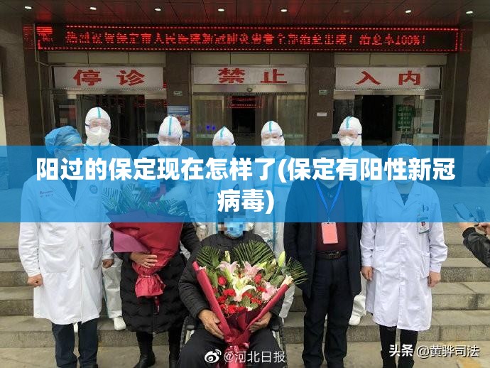 阳过的保定现在怎样了(保定有阳性新冠病毒) 阳过的保定现在怎样了(保定有阳性新冠病毒)
