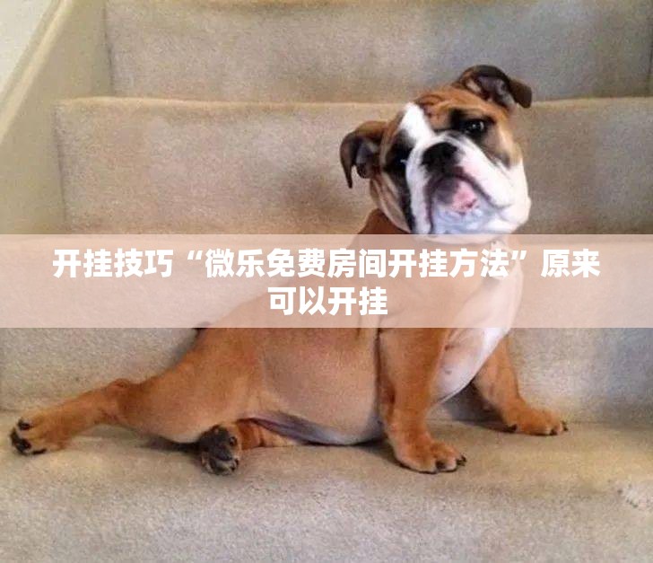 开挂技巧“微乐免费房间开挂方法”原来可以开挂