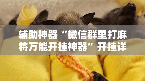 辅助神器“微信群里打麻将万能开挂神器”开挂详细教程