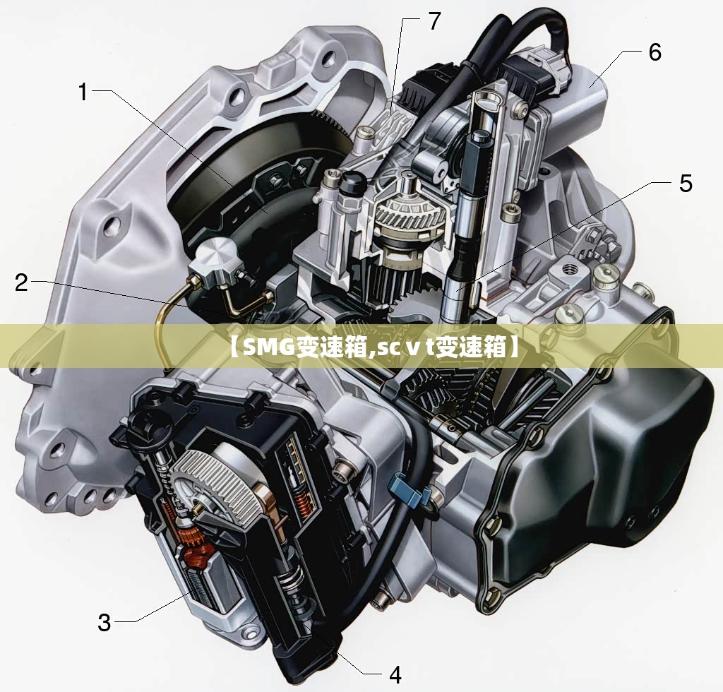 【SMG变速箱,scⅴt变速箱】