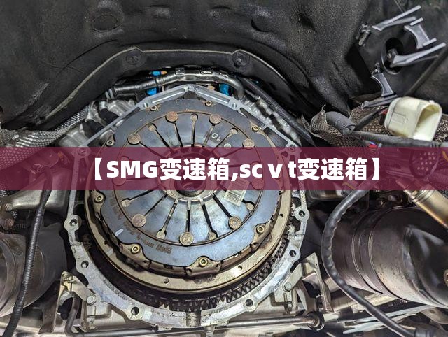 【SMG变速箱,scⅴt变速箱】