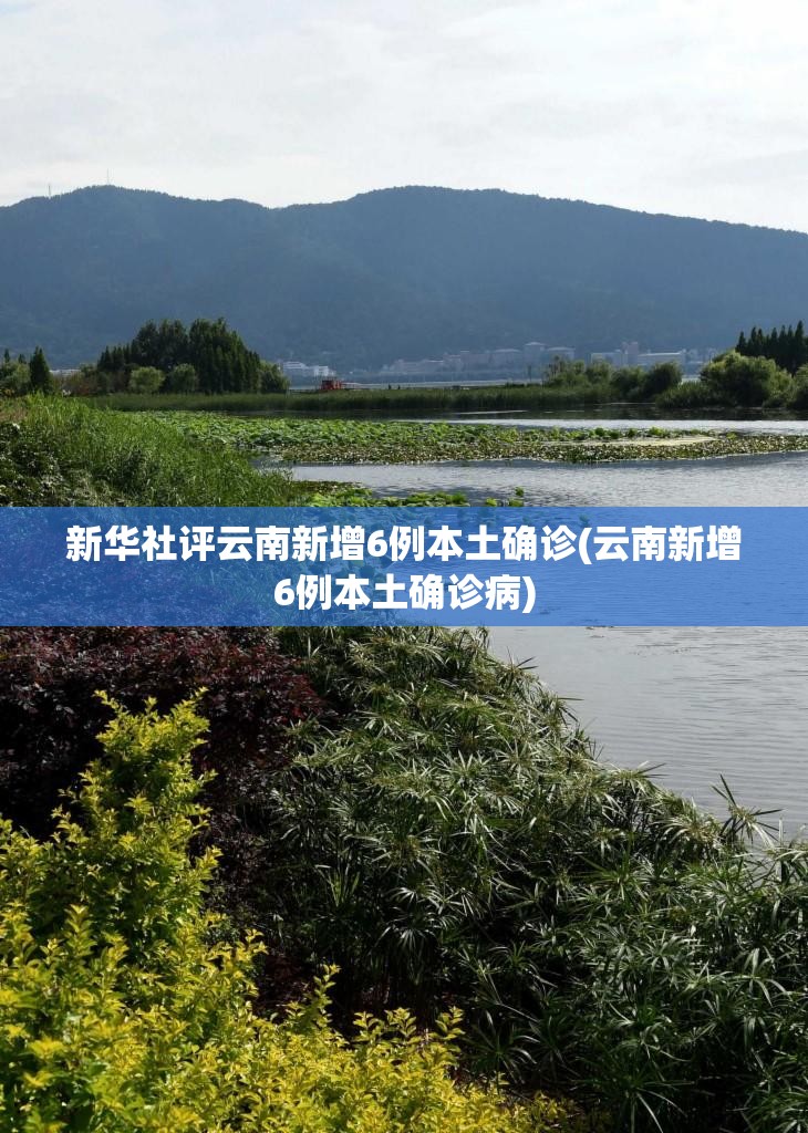 新华社评云南新增6例本土确诊(云南新增6例本土确诊病) 新华社评云南新增6例本土确诊(云南新增6例本土确诊病)