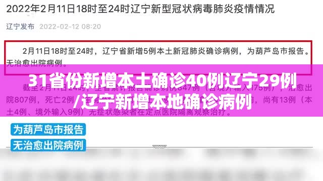 31省份新增本土确诊40例辽宁29例/辽宁新增本地确诊病例 31省份新增本土确诊40例辽宁29例/辽宁新增本地确诊病例