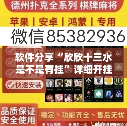软件分享“欣欣十三水是不是有挂”详细开挂教程