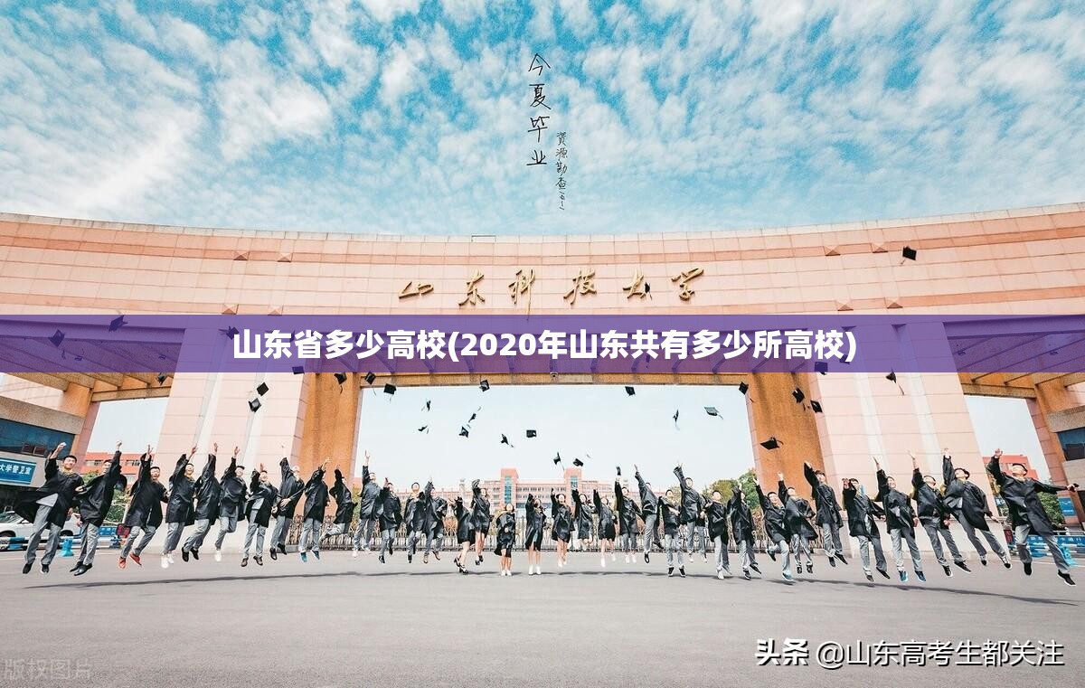 山东省多少高校(2020年山东共有多少所高校) 山东省多少高校(2020年山东共有多少所高校)